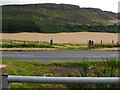The B9097 and Benarty Hill seen from the Loch Leven Heritage Trail in KY13 9LU