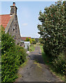 The lane between the A823 and Mossend Green, Powmill in FK14 7LQ