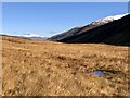 Boggy ground, Glen Ample in FK19 8NX