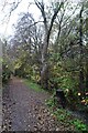 Path beside Trough Brook in S44 5TQ