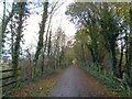 Cycle route on former railway in PR2 6RH