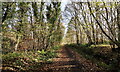 Lanchester Valley Railway Path close to Malton in DH7 0TP
