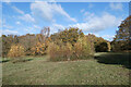 Autumn Colours, Banstead Downs in SM2 7DP