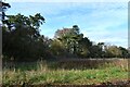 Culpho: Field at the junction of Ipswich Road and Playford Road in IP6 9EA