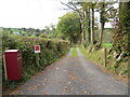 Hedge and tree-lined track giving access to Berllan in SA39 9BQ
