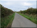 Hedge-lined minor road in SA39 9JX