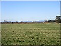 Flat field in the Forth Valley in FK9 5NT
