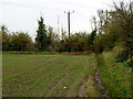 Public footpath Thurrock 38 in Stanford-le-Hope West Ward