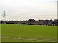 View south-west from by Blackbush Lane, Horndon in RM16 3BH