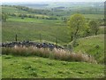 Pastures above Bewcastle in Askerton