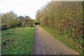 The Nickey Line footpath by Knott Wood in AL5 2BH
