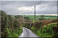 Whitestaunton : Country Lane in TA20 3QA