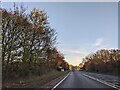 On the A358 heading south-east in TA3 5RJ