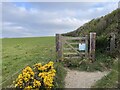 Footpath by Downend Cottage in PL13 2HT