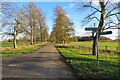 Tree-lined bridleway into Harpenden in AL5 2BQ
