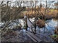 Footbridge over Saltersford Brook in DE12 7PX