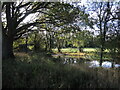 Pond near Celestine Cottage in BS37 7QF