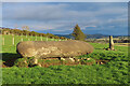 Nether Wheedlemont Stone Circle (1) in AB54 4LL
