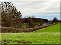 Field and hedgerow beside Ruddle Lane in S66 7SL