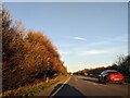 On the A303 heading east in evening sun in TA12 6LG