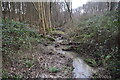 Stream in Boniface Wood in BN27 4HL