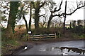 Lane and footpath off Cinderford Lane in BN27 4HL