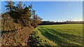 Field edge opposite Tatchbury Manor in SO4 2WE