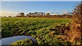 Wet field entrance opposite Tatchbury Lodge in SO4 2WE