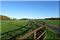 Field near Grange Farm in YO41 4AZ
