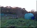 Allotments, New Bagthorpe in NG16 5QZ
