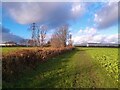 Bridleway to Pinxton Lane in DE55 2JW