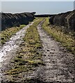 Track to Lodge Farm in CV13 0QL