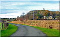 Farm road near Cambuskenneth in FK9 5NQ
