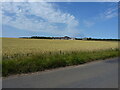 View across fields towards Kirklands near Crail in KY10 3TN