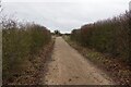 Footpath towards Dereham in NR19 2QR