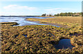 Salt Marsh in IV36 3SH
