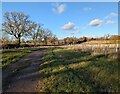 Path in the Nailstone Platinum Jubilee Country Park in CV13 0QP