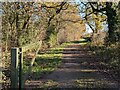 Track in the Nailstone Platinum Jubilee Country Park in CV13 0QP