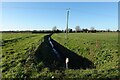 Ditch across Padnal Fen in CB6 1LN