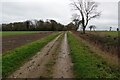Grazing Grounds Lane towards High Grove in IP25 7QY