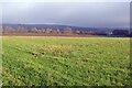 Farmland north of Woodborough in NG14 6DG