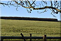 Isle of Wight pasture in PO31 8PA