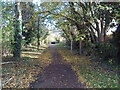 Footpath to Downhead, Pennyland in MK15 9BP