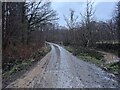 Forestry road entering Grizedale Forest in LA12 8LL