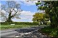 Little Maplestead: The Stoneylands/ Sudbury Road (A131) junction in CO9 2RR