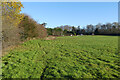 Pasture, Ashley Green in HP5 3RB