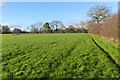 Pasture Ashley Green in HP5 3NX