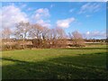 Grass field near Grange Farm, Barkby in Barkby