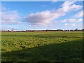 Grass field off Barkby Thorpe Lane in LE7 2BG