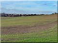 Farmland to the west of Brierley in S72 8RB